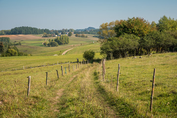 Fototapeta na wymiar Autumn view on the meadow, hills and trees in Suwalski Landscape Park, Podlaskie, Poland
