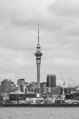 Auckland City Scape