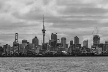 Auckland City Scape