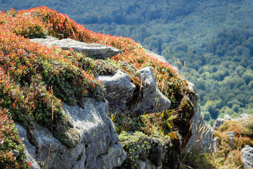 Carpathian mountains. Autumn 2019