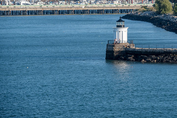 Bug Light