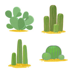 Isolated object of cacti and mexican logo. cacti and botanical vector icon for stock.