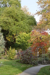 Naklejka premium ARBOLES BOSQUES rios 