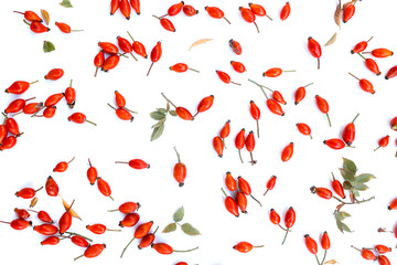 Rose-hips or wild rose berries isolated on a white background