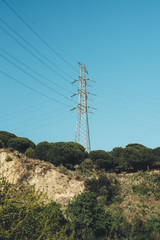 Obraz premium Tower
