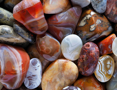 Closeup Focus Stacked Image Tumbled or Polished Stones to include Agates, Beach Agates and Petrified Wood