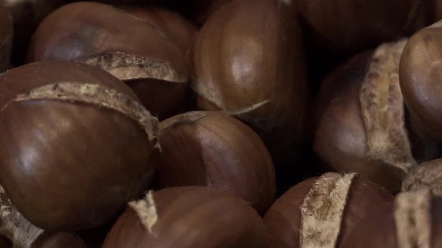 Dopo la raccolta, le castagne vanno fatte asciugare per qualche giorno. Poi vanno "castrate", ovvero va fatta una piccola incisione longitudinale sul lato convesso di ogni castagna. 