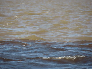 Meeting of the Negro and Solimões Rivers in the Amazon, Brazil