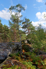 Fototapeta premium Apremont rocky chaos in Fontainebleau forest