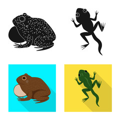Vector design of wildlife and bog sign. Collection of wildlife and reptile stock vector illustration.