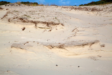 Sand drift in Dutch dunes;  Zeeland , Netherlands