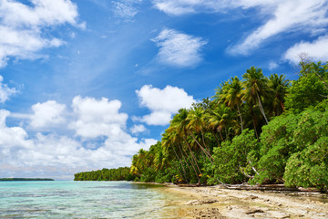 Wild uninhabited island