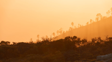 Amazing Sunrise on on the mountain  Ijen  Java ,Indonesia.