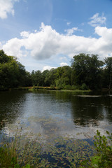 Obraz premium Pool in the middle of woodland fed by well; Springendal, Twenthe, Netherlands
