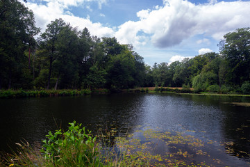Pool in the middle of woodland fed by well; Springendal, Twenthe, Netherlands