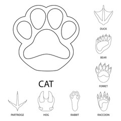 Vector design of foot and footprint sign. Collection of foot and trace stock vector illustration.