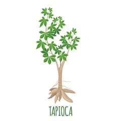 Cassava tree icon in flat style isolated on white background. Vector illustration.