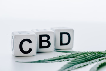 cubes with lettering cbd and marijuana on white background