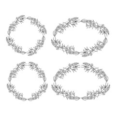 Herbal frame, vector hand drawn graphic assorted herbs and old style frame on a paper