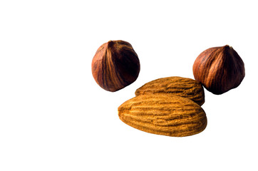 Appetizing hazelnuts and almonds on a white background. macro