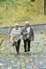 Fototapeta premium Portrait of happy senior couple walking in autumn park