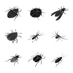 Vector illustration of wings and wing icon. Set of wings and fly vector icon for stock.