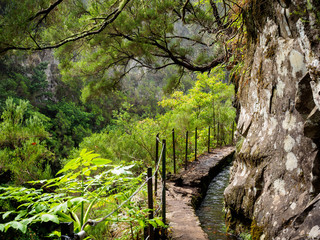 Levada Wanderung,  Madeira, Portugal