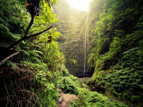 Gr&uuml;ner Kessel Wasserfall Caldeir&atilde;o Verde, Madeira, Portugal