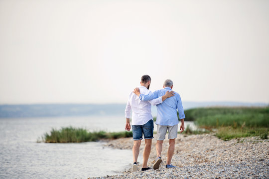 Rear view of senior father and mature son walking by the lake. Copy space.