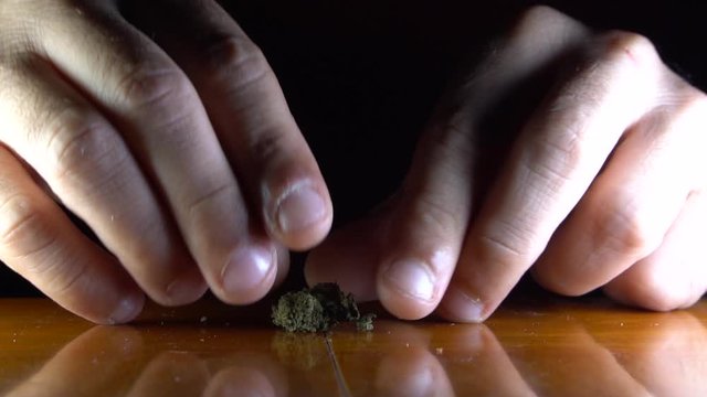 Slowmotion video of the hands of a man preparing CBD weed before rolling a cigarette
