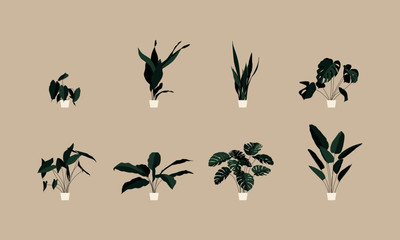 Set of vector plant illustrations. Leaves, Greenery, Stem, Houseplant, Landing Page