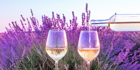 Lavender wine panorama. White wine poured from a bottle into glasses against a lavender field...