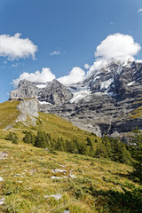 Dans les Alpes Suisses