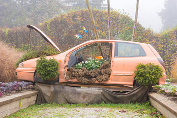 Many pumpings and plants invading old car outdoor.