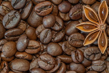 Coffee beans with half star anise macro