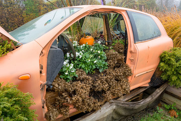 Many pumpings and plants invading old car outdoor.