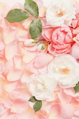 Obraz na płótnie Canvas rose flowers and petals background