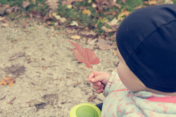 Small girl exploring autumn leaves - exploring colors and texture.