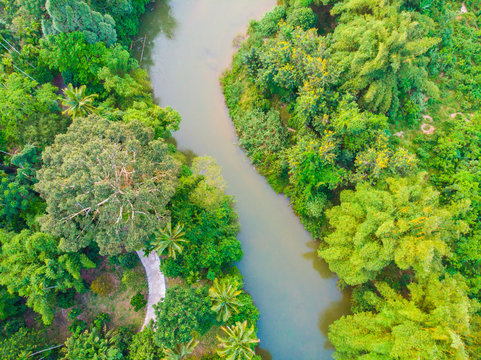 Curve of river in green tropical rain forest
