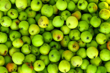 Background of green apples on sale at local market