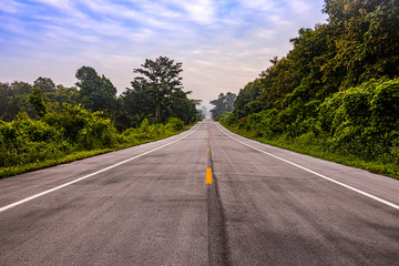Fototapeta premium Country road in the morning