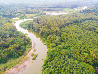 Curve of river in green tropical rain forest