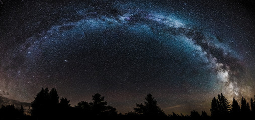 Night sky filled with stars including the core of the Milky Way with pine trees silhouetted on the horizon.  Andromeda galaxy under the Milky Way. © Craig Taylor Photo