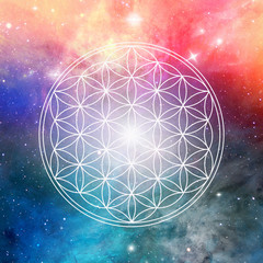 flower of life - spiritual cosmic light - background / banner  - 293369410