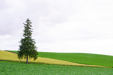 Stand alone Chrismas tree