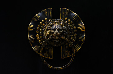 Door handle in the shape of a lion's head