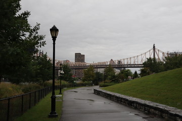 roosevelt island