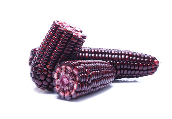 Black Corn on white background