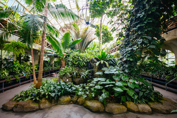 Christchurch Botanic Gardens Conservatory New Zealand