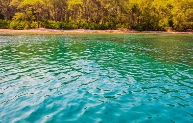 Summer Landscape green island with hills